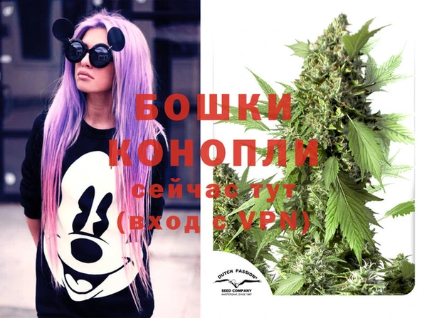 mdpv Пестово