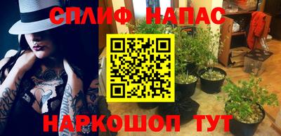 спайс Гусев