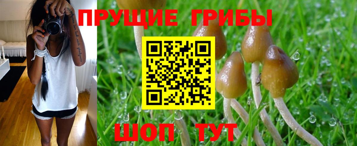 наркошоп  Удомля  Галлюциногенные грибы мицелий 