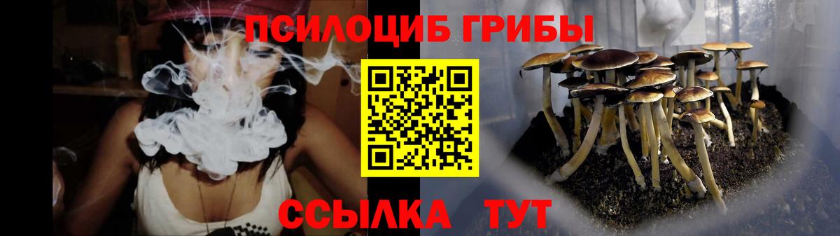 Удомля  Галлюциногенные грибы Magic Shrooms  Вход с VPN  Галлюциногенные грибы Magic Shrooms 